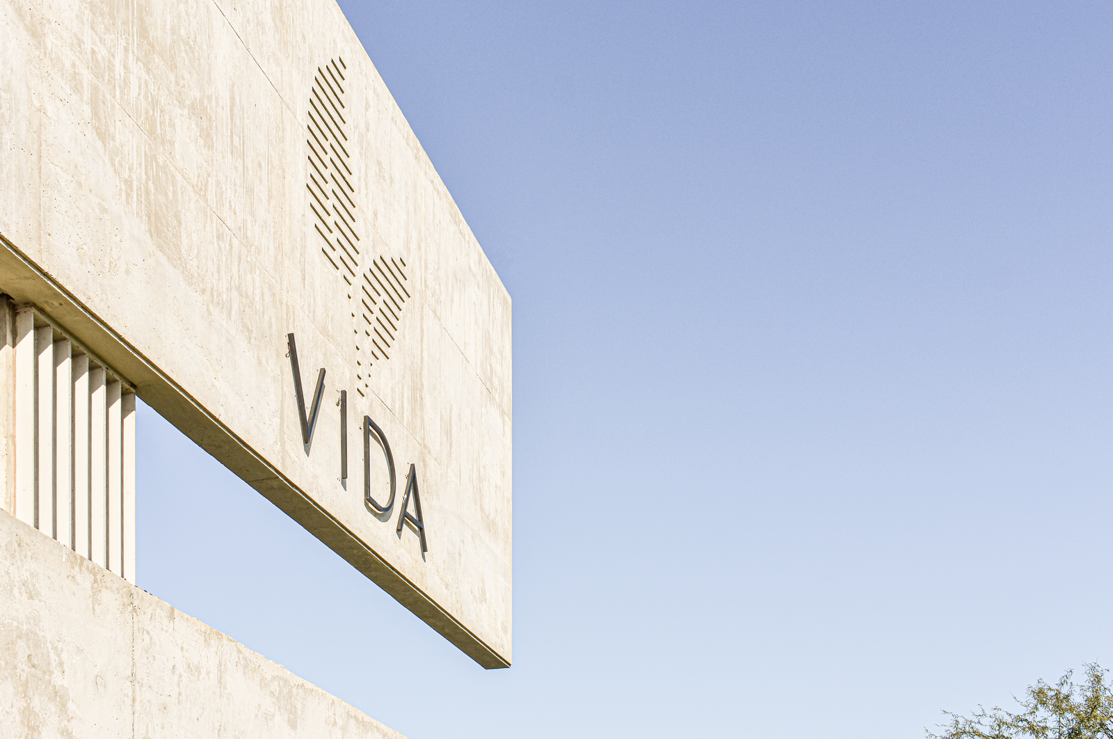 VIDA