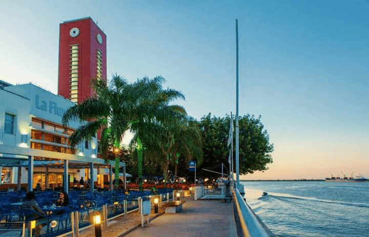 Proyecto HARBOUR BEER GARDEN