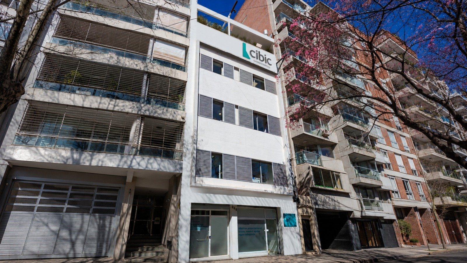 Proyecto CEPIDE CIBIC